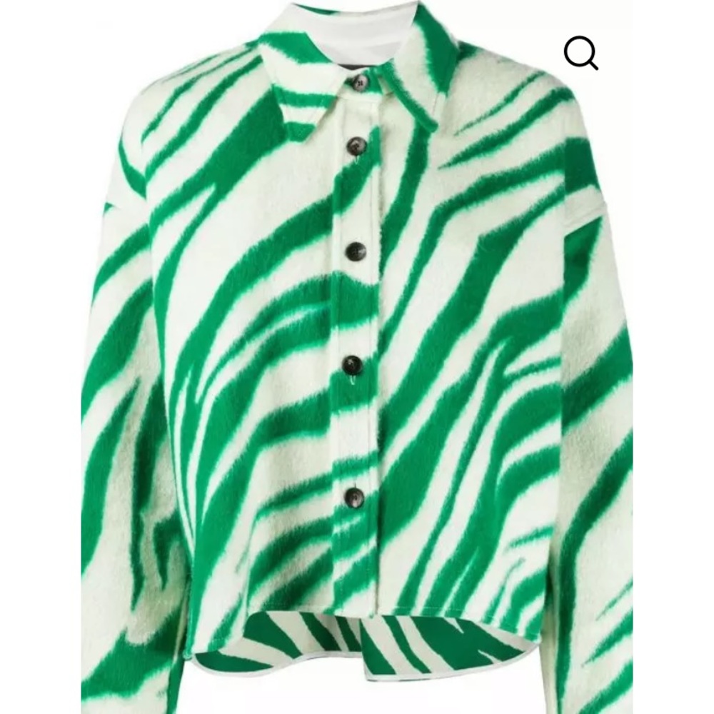 Isabel Marant Neutrals Zebra Print Jacket